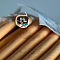 Кабель ParLan Patch SF/UTP Cat5e 4x2x0,60 ZH нг(А)-HF ТУ 3574-010-39793330-2009