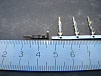 Контакт штыревой Mini-Fit MF-M